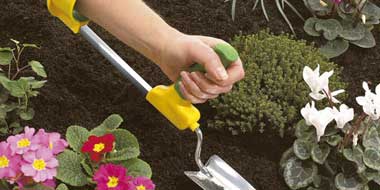 Card example background